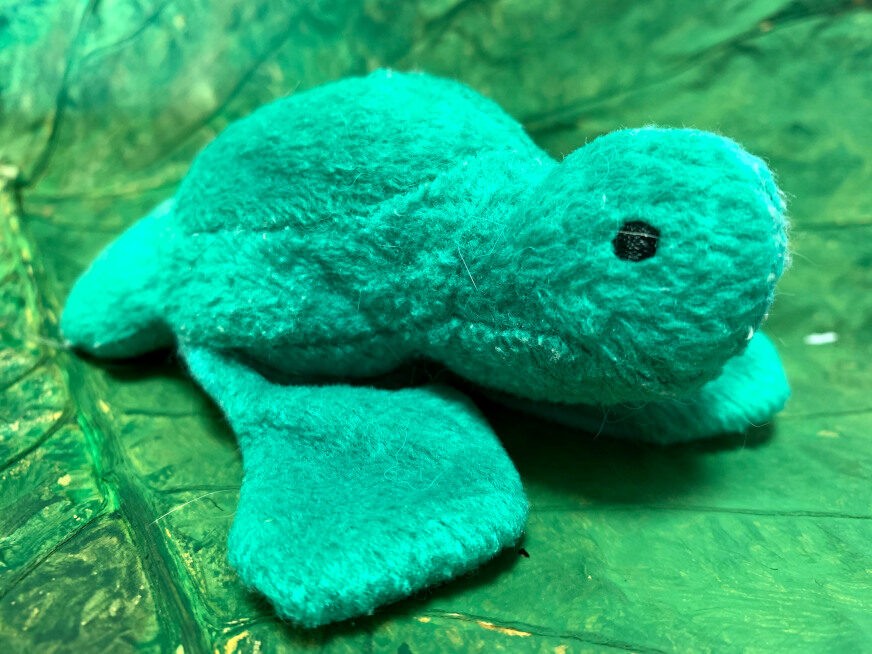 Green plush baby turtle